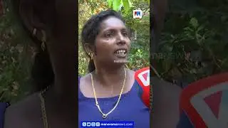 &lsquo;ഭക്ഷണമെടുത്ത് കഴിക്കും ടാങ്കിലിറങ്ങി കുളിക്കും&rsquo;; വാനരപ്പേടിയില്&zwj; ഒരുനാട് #monkey #kollam