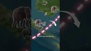 Why Animals Won't Cross This Invisible Line?🤯 #dhyeyaiasgorakhpur #education #upsc