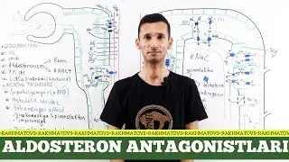 Aldosteron antagonistlari