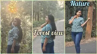 Beautiful forest// #nature #tree #youtube #india 