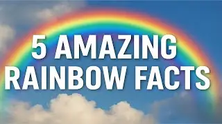 Five Amazing Facts About Rainbows
