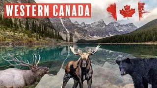 Trailer  - Autumn Western Canada - Epic Landscapes - Stunning Wildlife - English