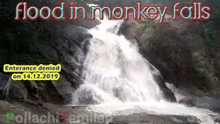 Monkey falls Flooded