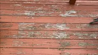 BEWARE Using Solid Stain on a Deck!!