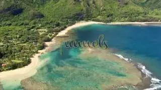 Under the Surf (Surf Movie)