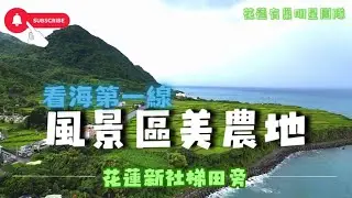 花蓮豐濱⭐️新社梯田旁看海第一線⭐️大塊風景區農地🧙‍♀️小魔女大力推薦‼️‼️