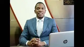 SIB NSE Summary Performance