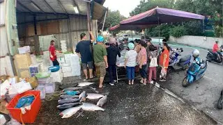 海鮮叫賣哥阿源 直播0911 台中市大雅區學府路269號