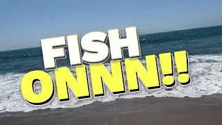 surf fishing