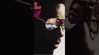 Stevie Wonder