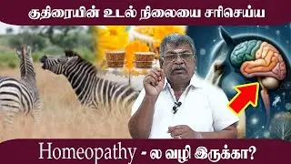குதிரையின் உடல் நிலையை சரி செய்ய Homeopathy - ல வழி  இருக்கா? Sarvam