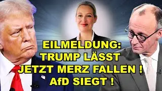 BREAKING NEWS: TRUMP DROPS Merz! AfD WINS!