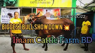 💥 Biggest Bull show down || Imam Cattle Farm BD || Qurbani Eid 2022 || #shorts #bull #animals #bull