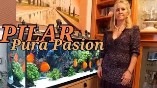 ACUARIO DISCOS RED MELON | Pilar Bornao