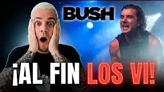 BUSH - 