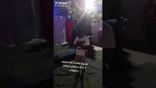 Pitisco Diboba 
