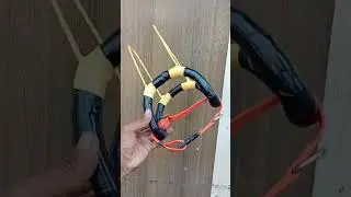 ear Crop Doberman  Stand in india teping Help #petking #viralvideo #dobermanpinschers  7620 320 733