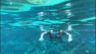cove water park || sentosa resort world || under water scenes || Uday Bheemanapally