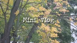 Relaxing Mini Vlog October 2024