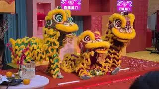 CNY 2022 ~ KL Kun Seng Keng lion dance 吉隆坡 关圣宫 舞獅表演 @ Sunway Velocity CNY launch
