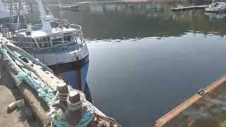 Fishing boats of Scotland
