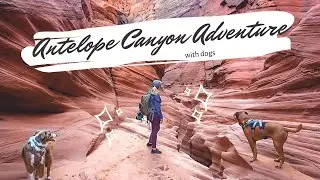 Kayaking into Antelope Canyon with Dogs