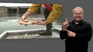 Environmental Specimen Bank: Time travel for environmental protection Part I in sign language