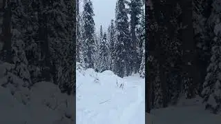 #canada#winter#vibes#january#emeraldlake#relax#