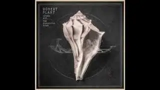 Robert Plant 'Rainbow' | Official Track