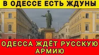 В ОДЕССЕ ЕСТЬ ЖДУНЫ ❗ ЛЬВОВ И КИЕВ В ШОКЕ ❗