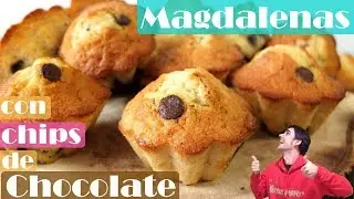 MAGDALENAS con CHIPS de CHOCOLATE o muffins😍🍫😋 ESPONJOSAS FÁCILES y DELICISOSAS. Receta # 420