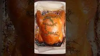The Vegan Bird