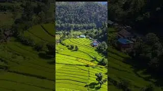 Eastern Nepal | Best Place to visit in Nepal | Thapatar Panchthar | #youtubeshorts