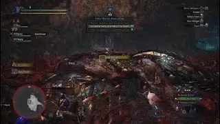 Monster Hunter: World - Derpy bird and suicidal dragon?
