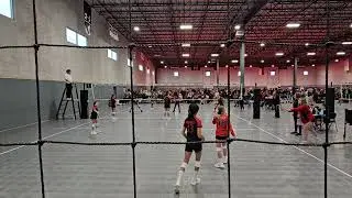 Alamo 11 Gold VS Monarch VP 11-1