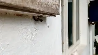 Oneplus 7T 960fps Slow Motion Video