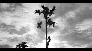 Panai Kanavu Thiruvizha 2025 | Full Documentary | Orrayson Studio | TCC | Viluppuram