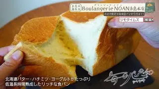 【福岡】🍞毎日パン日和🍞 #646『Boulangerie NOAN 糸島本店』（福岡県糸島市篠原西）