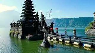 Relaxing with Bali. #relaxing #nature #sleep #youtubeshorts #shorts #shortvideo shorts #funny  #fun 