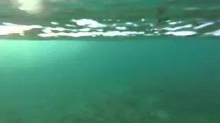 Camp Schwab island swim