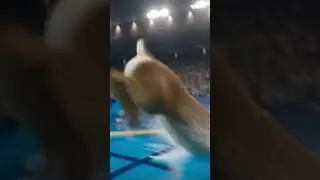&ldquo;Deer&rsquo;s Epic Swim Leaves Everyone Shocked! 😱 | #aivideo #animals #viral #deer #swimming #ytshorts