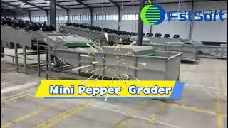 Hot Selling Advanced Mini Adjustable Roller Pepper Grader :Precision Pepper Sorting Machine🌶️