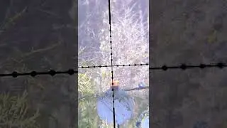 Shooting a water balloon at 100yards #airgun#airgunshooting #airgunworld #airgunlife #airgunshooter