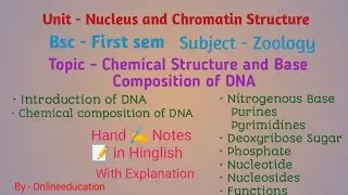 Chemical structure and base composition of DNA || bsc 1 sem || #dna #structure #zoologynotes #cell