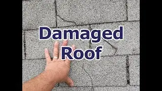 Damaged Roof - Honest Home Inspection 612-314-3121