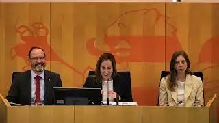 Amtliche Mitteilungen - 13.05.2025 - 39. Plenarsitzung