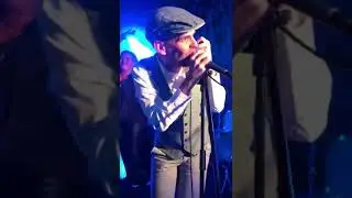 The Brogish - Don&rsquo;t Look Back In Anger