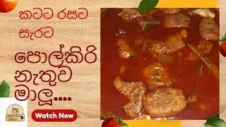 අද අපි මාලු හදමුද? | පොල්කිරි අවශ්‍ය වෙන්නේම නෑ|කටට රසට ඒවගේම සැරට 🔥|Hurry Up kitchen 