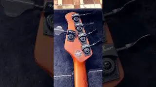 Novo Sterling ray 35 HH Music man  stingray 5