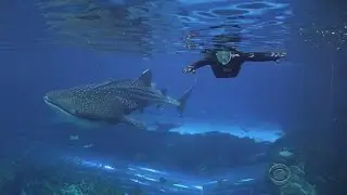 Combat vets turn to healing power of calm waters